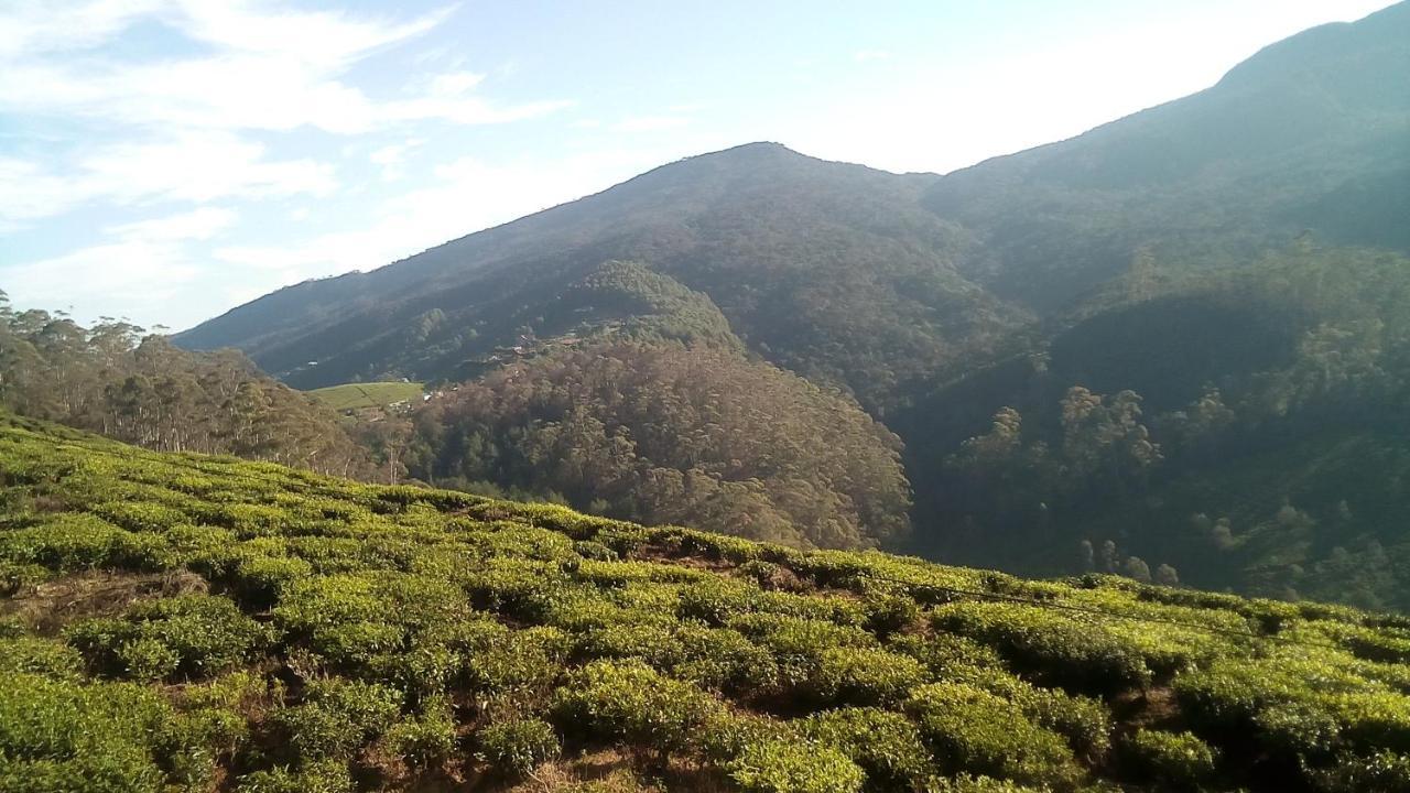 Tea Garden Cottage Νουβάρα Ελίγια Εξωτερικό φωτογραφία